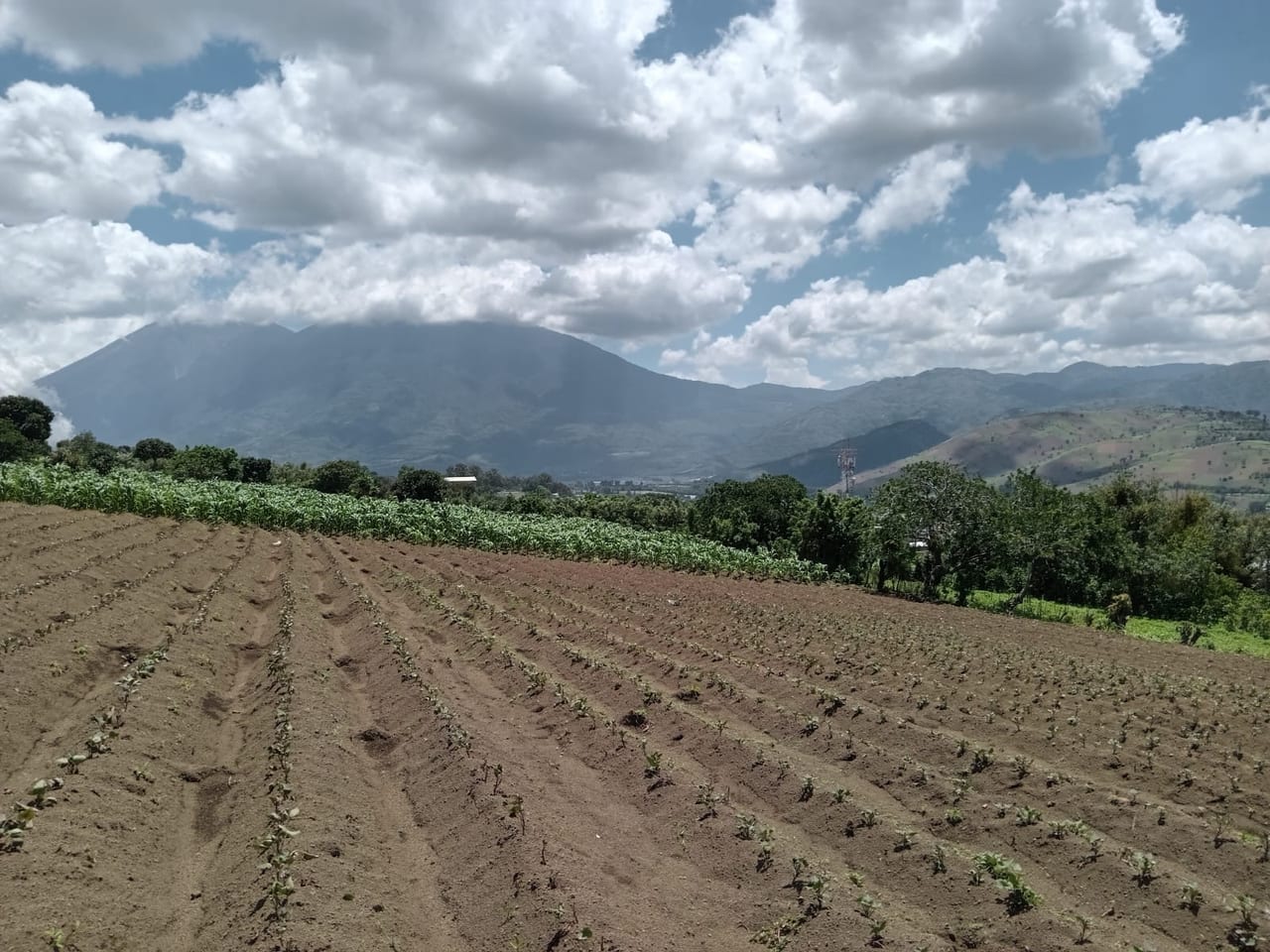 Terreno en venta Ciudad Vieja (*20) — foto 8 de 14