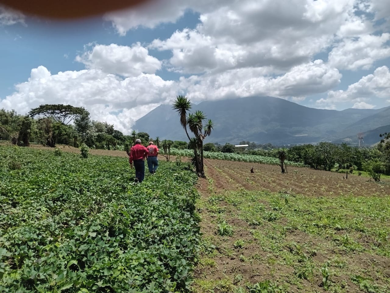 Terreno en venta Ciudad Vieja (*20) — foto 5 de 14
