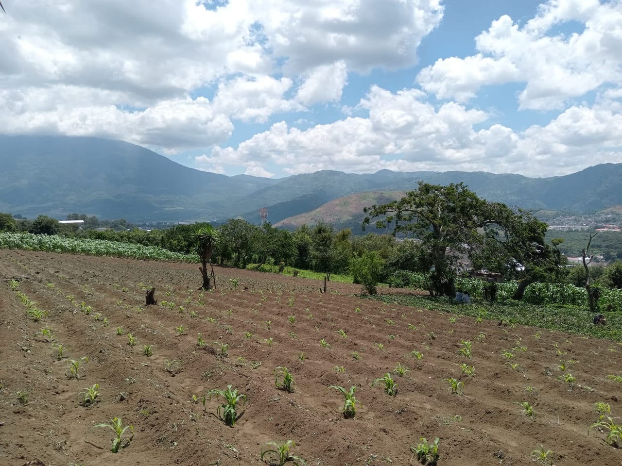 Terreno en venta Ciudad Vieja (*20) — foto 13 de 14