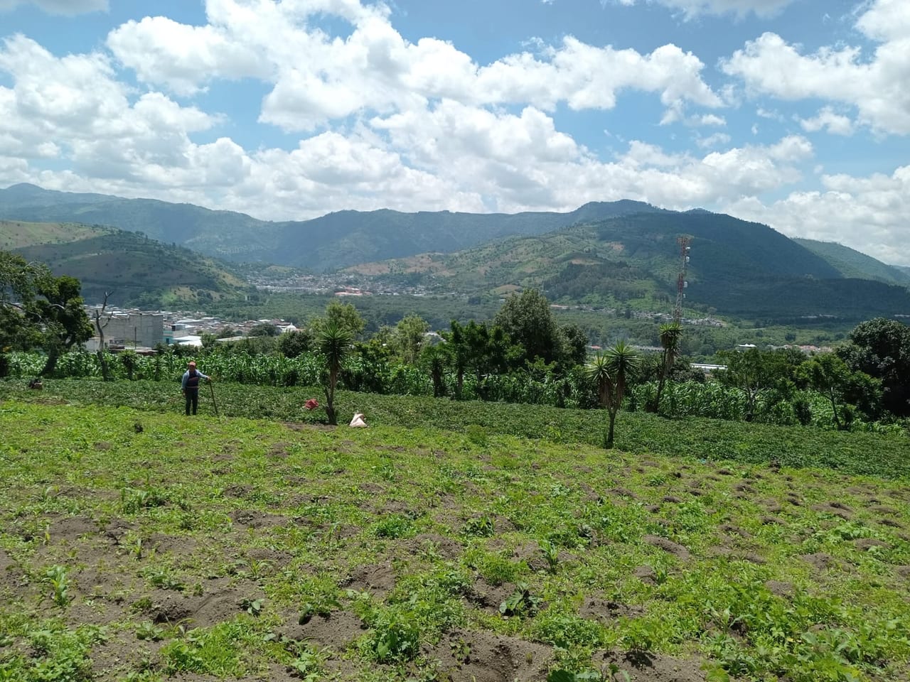 Terreno en venta Ciudad Vieja (*20) — foto 4 de 14