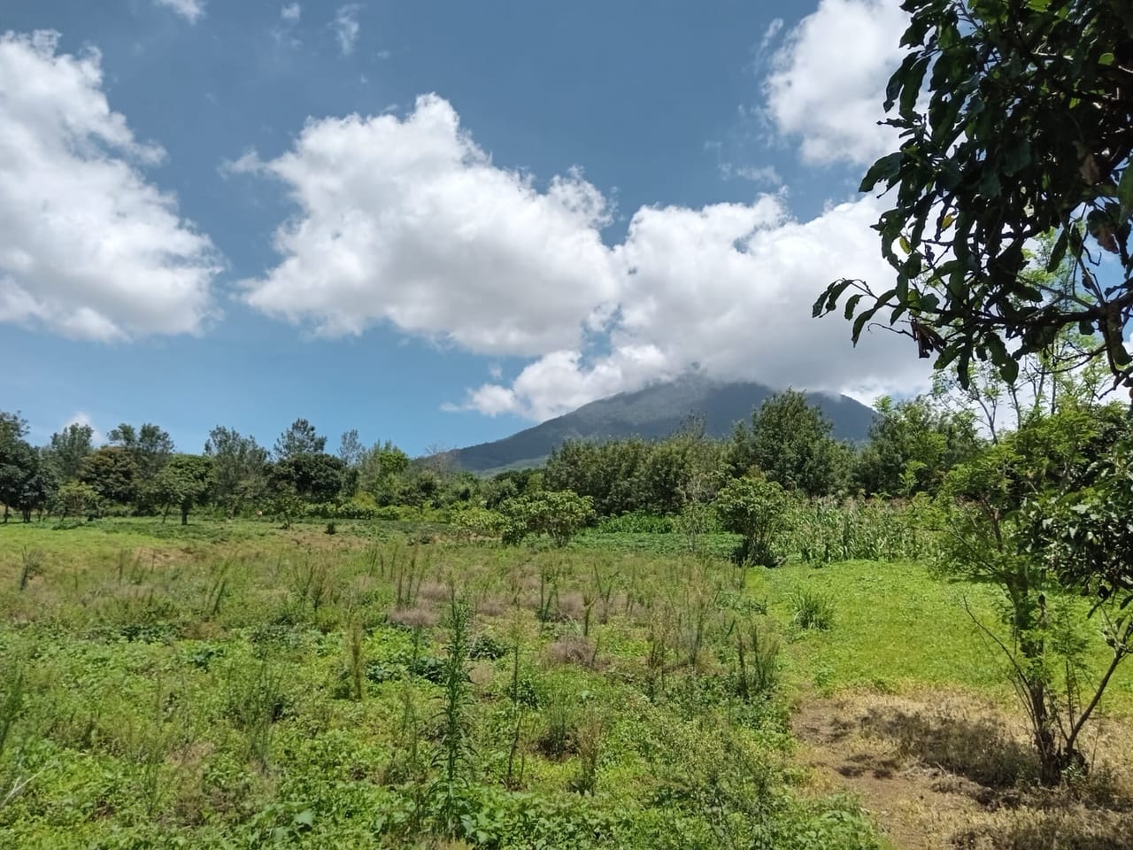Terreno en venta Ciudad Vieja (*20) — foto 6 de 14