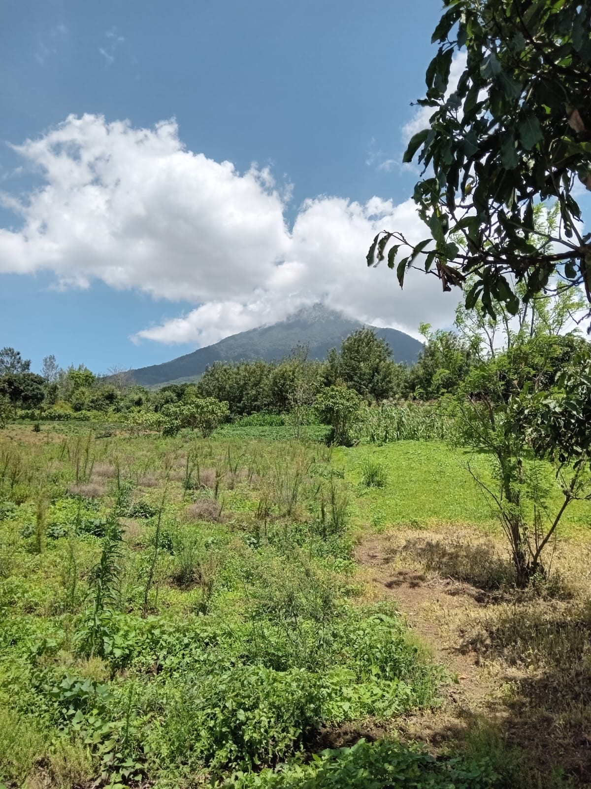 Terreno en venta Ciudad Vieja (*20) — foto 3 de 14