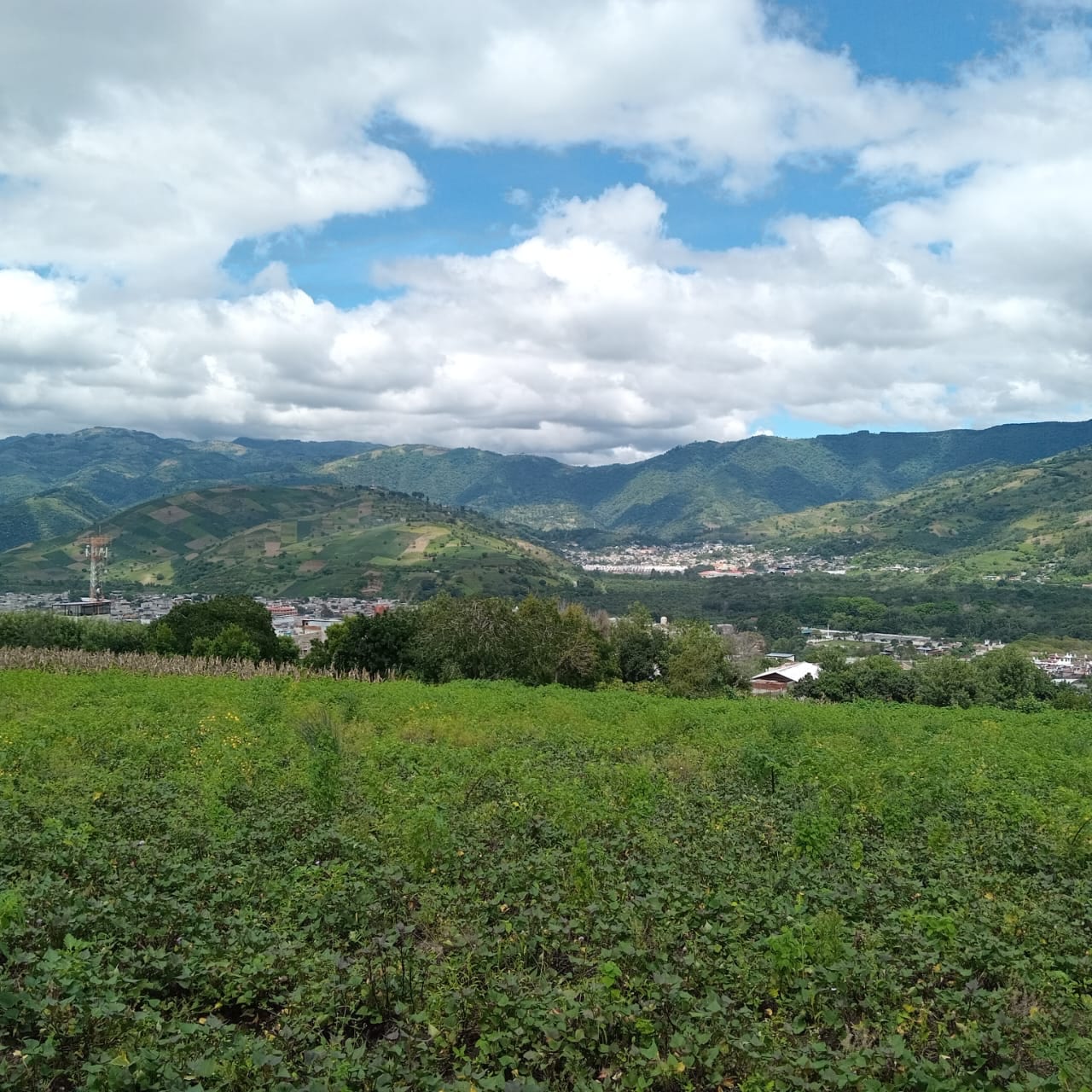 Terreno en venta Ciudad Vieja (*20) — foto 12 de 14