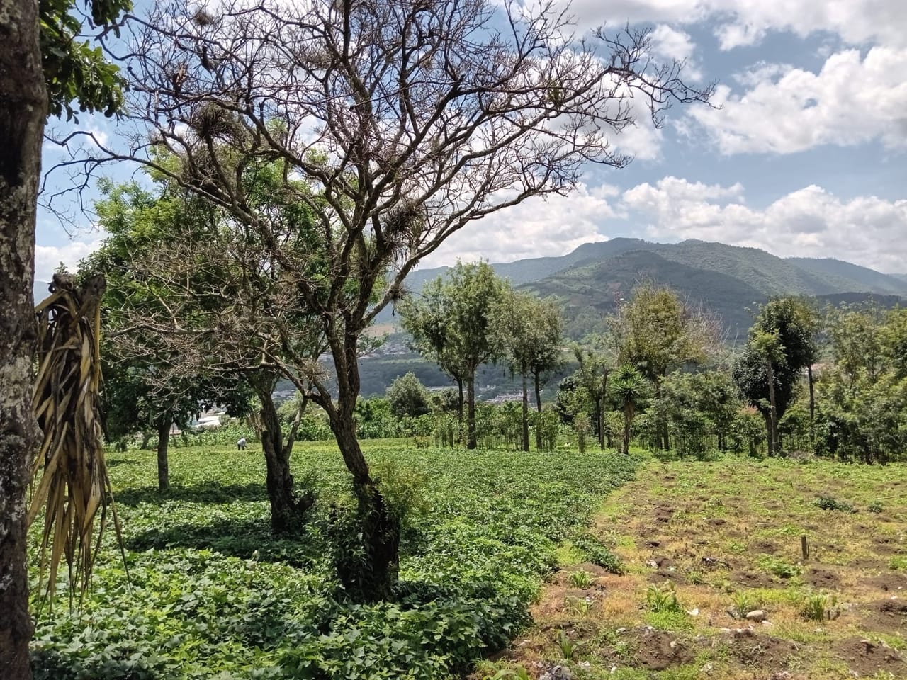 Terreno en venta Ciudad Vieja (*20) — foto 7 de 14