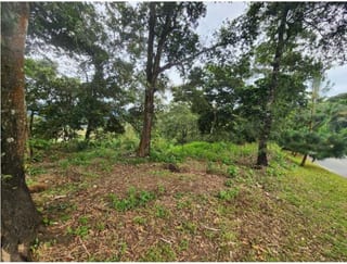 Terreno en venta EL PULTÉ GOLF Zona 16 (D) — miniatura 2 de 2