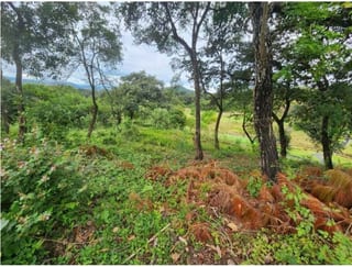 Terreno en venta EL PULTÉ GOLF Zona 16 (D) — miniatura 1 de 4