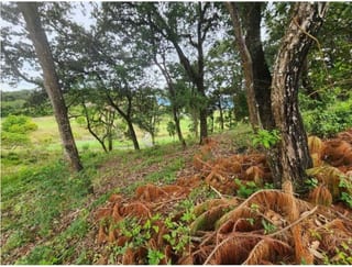 Terreno en venta EL PULTÉ GOLF Zona 16 (D) — miniatura 3 de 4