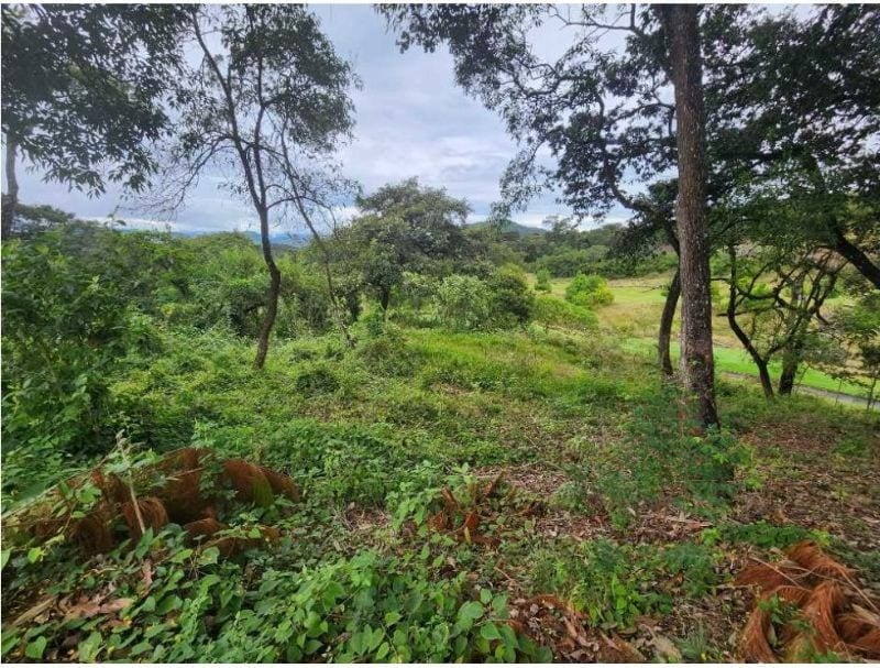 Terreno en venta EL PULTÉ GOLF Zona 16 (D) — foto 4 de 4