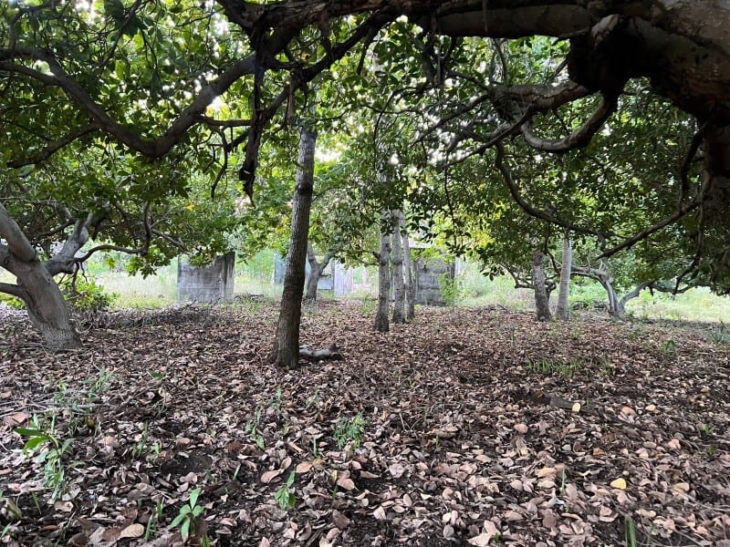 Terreno en venta en MONTERRICO ideal para desarrollar hotel (D) — foto 7 de 11