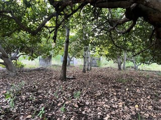 Terreno en venta en MONTERRICO ideal para desarrollar hotel (D) — miniatura 7 de 11