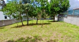 Terreno en Venta Zona 16 (*20) — miniatura 3 de 4