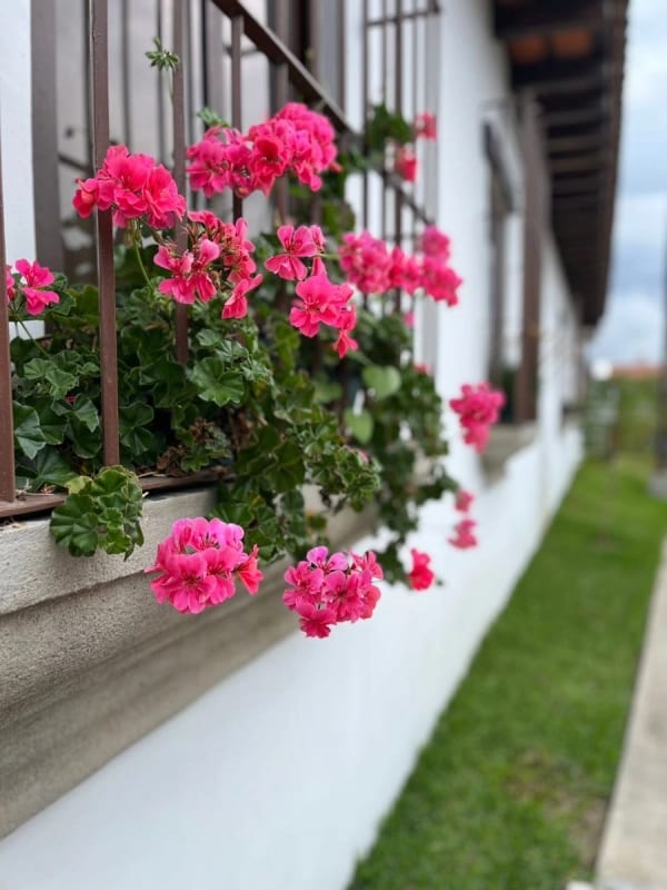 Casa PERLA en venta CLUB RES. LOS FRANCISCANOS ANTIGUA (D) — foto 8 de 16