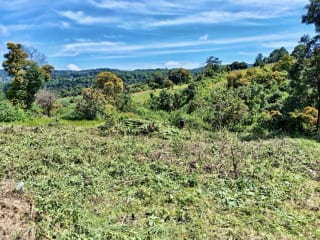 Terreno en Venta SANTIAGO SACATEPEQUEZ (D) — miniatura 5 de 5